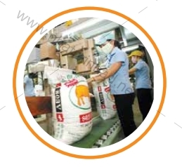 NGÀNH THỨC ĂN CHĂN NUÔI